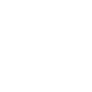 SaltCube's emblem