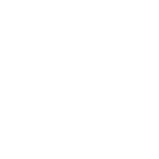 SnipesEXE's emblem