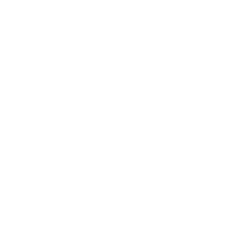 69DarkBlaze69's emblem