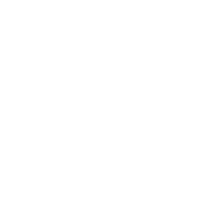 NT-15001's emblem