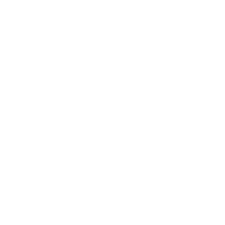 superstylerz's emblem