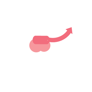 F4IK3IR's emblem