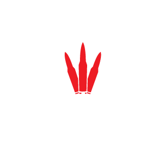 blackfire185's emblem