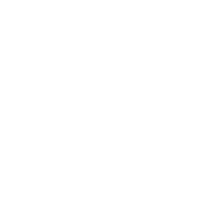 Ziner7's emblem