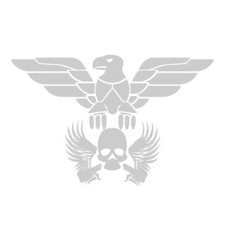 BattleTubeRS's emblem
