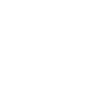 PrAeToRiAnDoWn's emblem