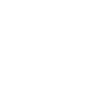 bsilva69's emblem