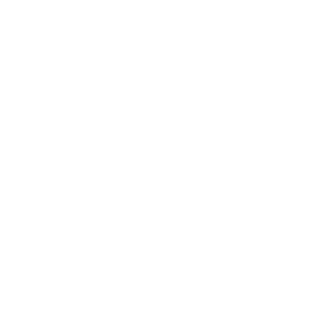 SavageHorseman1's emblem