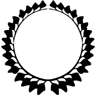 Dirty Hry's emblem
