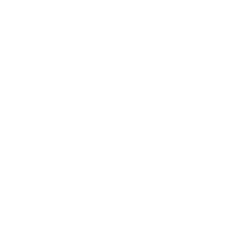 Ne4tdfs's emblem