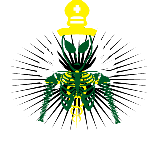 ASM_1999_'s emblem
