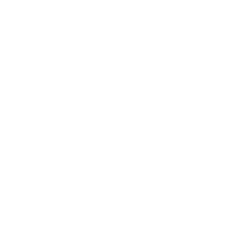 martinlol1234's emblem