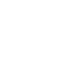 12345678cv's emblem