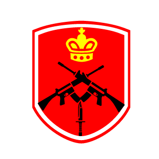 TZtimmer501's emblem