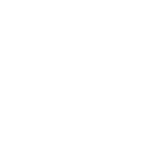 ElTinchou's emblem
