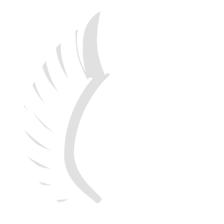 rb_828's emblem