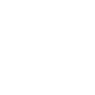 Nanotekk's emblem