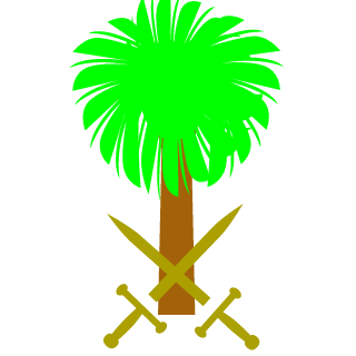 NZAR-_N24's emblem