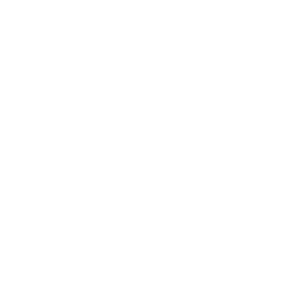 back2race's emblem