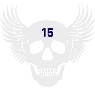 520_Ping_player's emblem