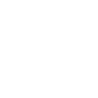 SanekPetrov01's emblem