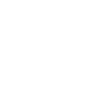 FC4's emblem