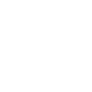 ifox10's emblem