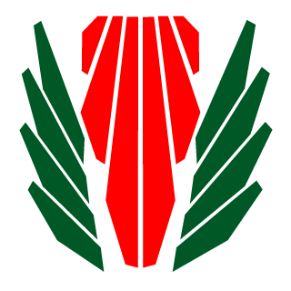 EnderWiggn's emblem