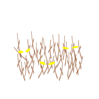 MadM0dder's emblem