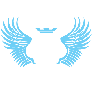 NEPHESH's emblem