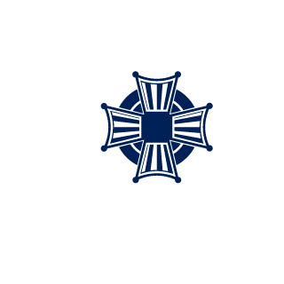 RoninHUN's emblem