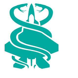 gabrielgabizinho's emblem