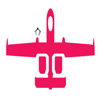 lweltonbr's emblem