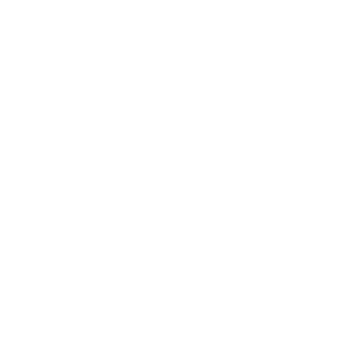 Neftek's emblem