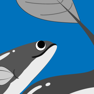 p___S___R's emblem