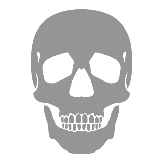 XL3R8TOR's emblem