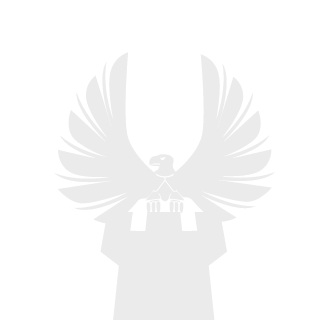 Mdyzman's emblem