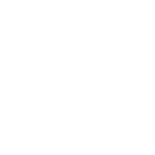 swede-_-legend's emblem