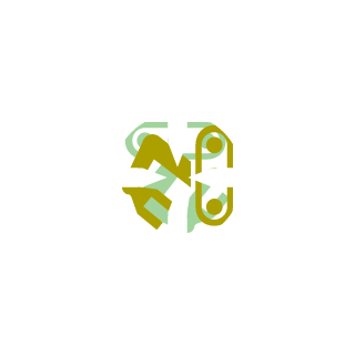 RNG-nannobr's emblem