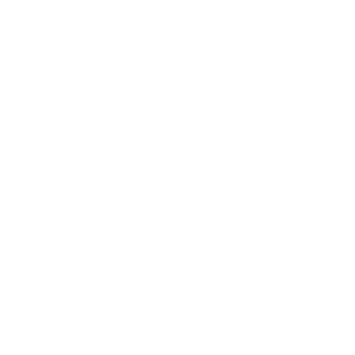 StormingSeas's emblem