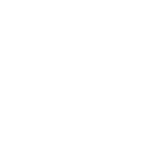 xzy Ashley yzx's emblem