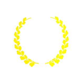 dianblinko's emblem