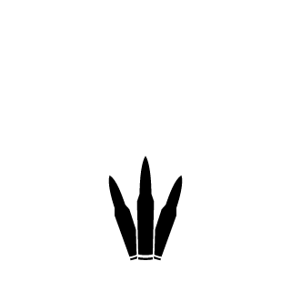 InternetSh1s's emblem