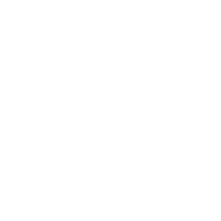 xix501's emblem