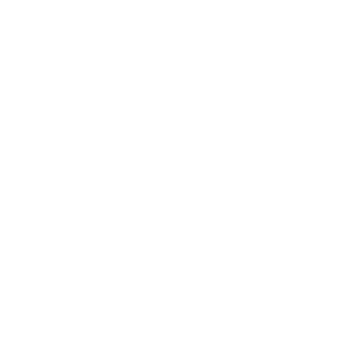 TOTI's emblem