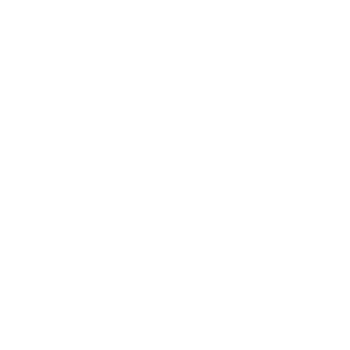 iconit's emblem