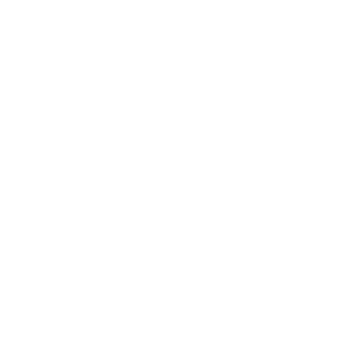 DorikTSG's emblem
