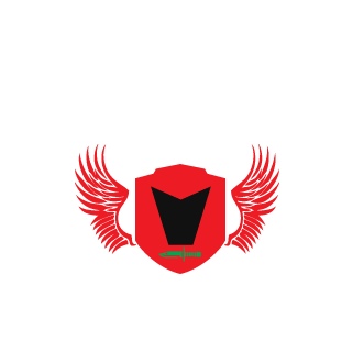 8Bit_h3xx0r's emblem