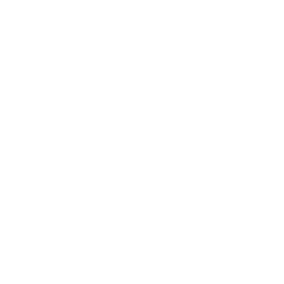 Aynull_Cex's emblem