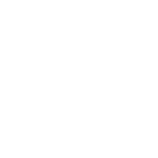 Captngun's emblem
